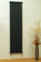 Yega Vertical Yega Vertical