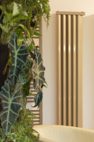 Yega Vertical Yega Vertical